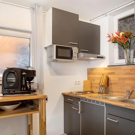 Eulenspiegel Apartment Breisach