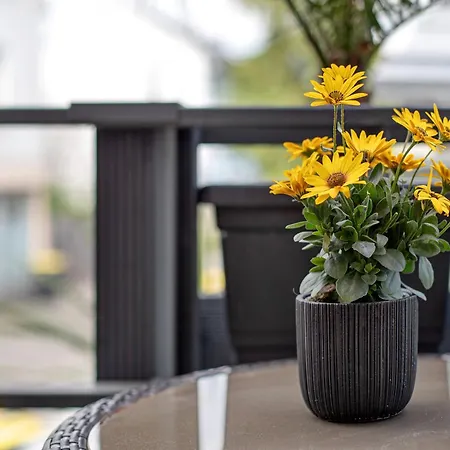 Apartment Eulenspiegel